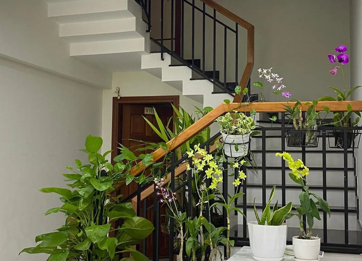 Nhà Đôi - Twin House Homestay Hội An 0*,