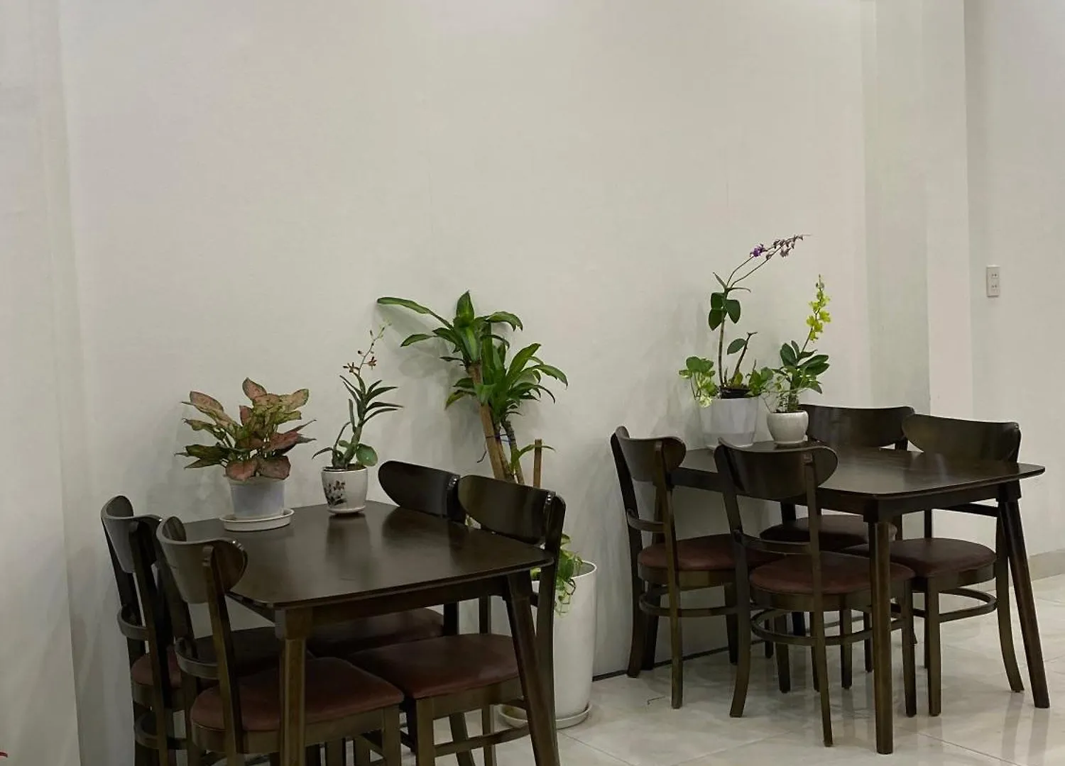 Nhà Đôi - Twin House Homestay Hội An